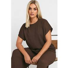 5XL - Woman Blouses Plus Size Textured Short Sleeve Top - Chocolate Brown