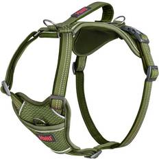 Halti Hundar Husdjur Halti Anatomy Harness Grön XS 20-32 cm