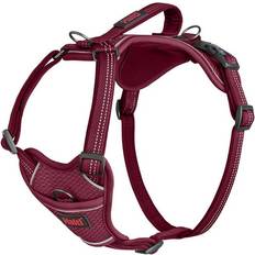 Halti Premium Burgunder Hundsele för Medelstora till Stora Raser L 42-65 cm