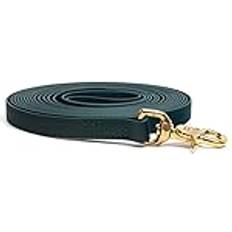 Mystique Biothane Bogserlina Sydd Med Karbinhake 16 mm x 5,00 meter