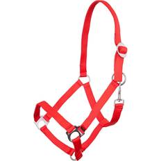 Cabestros para caballos PREMIERE Halfter Equitation - Rouge