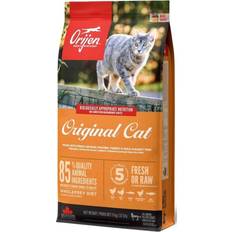 Original Cat