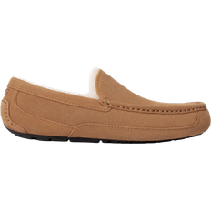 UGG Ascot - Chestnut