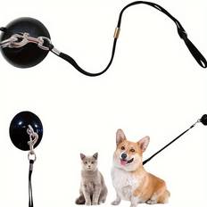 Pets Temu Dog Bathing Tether With Suction Cup Anchor