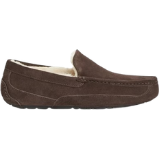 10.5 - Men Loafers UGG Ascot - Espresso