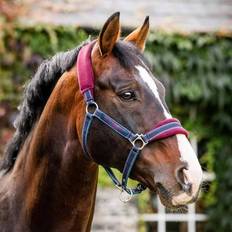 Turquoise Horse Halters Rambo Padded Halter - Burgundy/Teal/Navy