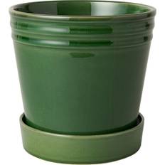 Glas Krukor Åhléns Home Kruka Alve M Grön
