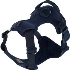 Hundsele Saga Traxx Marin