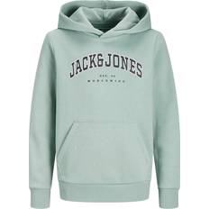 Ropa de niños Jack & Jones Caleb Varsity Hoodie Grün