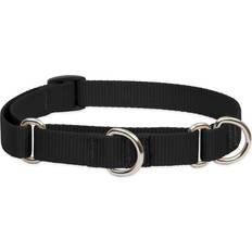 Pets LupinePet Basics Martingale Collar 3/4" Black