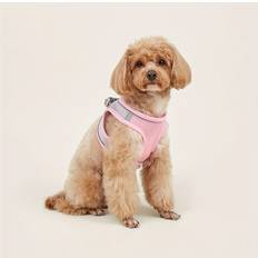 Temu Comfy & Safe Pet Harness Soft Mesh Cat & Dog Vest