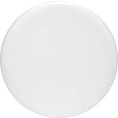 Discraft All White Understamped ESP Zone 170-172 Gram Putt and Appraoch Golf Disc