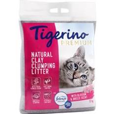 Premium Cat Litter 12kg
