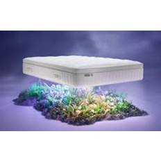 Simba Earth Apex Mattress Double Coil Spring Matress
