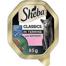 Mars Wet Cat Food Tray Salmon In Terrine 85g