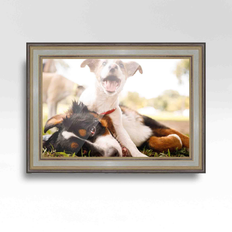 Photo Frames 24x36 Silver Picture Wood Photo Frame