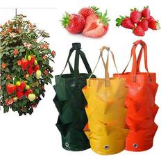 Pots, Plants & Cultivation HOD Garden Orange Strawberry Growing Bag Set of 1