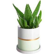 Ekirlin 5 Inch Ceramic Plant Pot