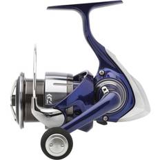 Angelausrüstung Daiwa Daiwa 24 TDR Match & Feeder QD 4012