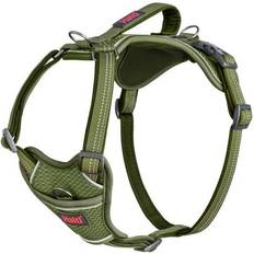 Halti Anatomy Dog Harness XS Green