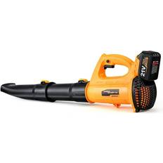 Garden Power Tools Salem Master BEEDECK 20V Cordless Electric Leaf Blower