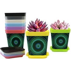 Tfcocft Small Flower Pots for Indoor Plants