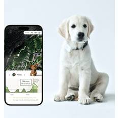 Lildog LilDog 2 GPS-Tracker till Hund