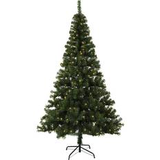 Dekorasjoner Star Trading Ottawa LED Green Juletre 210cm