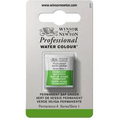 Grøn Akvarelmaling Winsor & Newton Professional Half Pan Permanent Sap Green