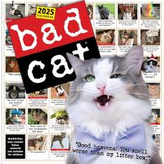 Multicoloured Calendars Workman Publishing Bad Cat 365 Days Wall Calendar