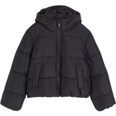 Daunenjacken - Jungen H&M Puffer Jacke mit Kapuze - Schwarz (1179620001)