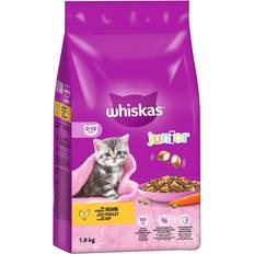 Whiskas Trockenfutter Haustiere Whiskas Junior Chicken Bag Cat Food 1.9kg