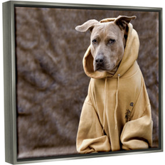 Interior Details Stupell Industries Beautiful Dog Wearing Cozy Yellow Hoodie 17 H x 21 W x 1.7 D Framed Art