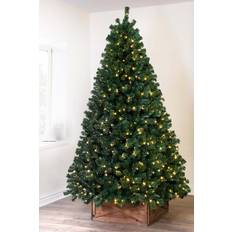 Christmas Tree World Pre-lit Vanda Verde Fir Green Christmas Tree 121.9cm