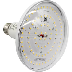 9903003876 LED Lamps 28W E27
