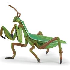 Praying Mantis 50244