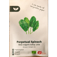 Bland Selv Frø Perpetual Spinach Evighedsspinat Grøntsagsfrø