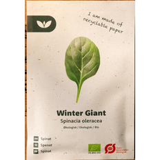 Bland Selv Frø Winter Giant Spinat Grøntsagsfrø