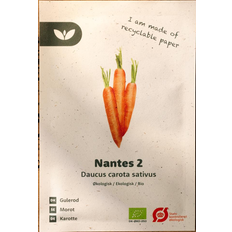 Nantes 2 Gulerodsfrø Grøntsagsfrø