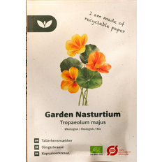 Bland Selv Frø Tropaeolum majus Tallerkensmækker Blomsterfrø