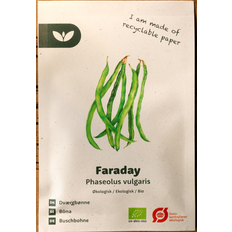 Bland Selv Frø Faraday Dværgbønne Grøntsagsfrø
