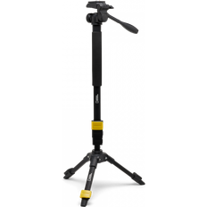 Photo 3-in-1