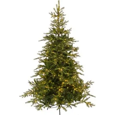 Weihnachtsdekorationen Everlands Grandis Fir with Lighting III Green Weihnachtsbaum 200cm