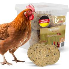 Feed Ball for Chicken XXL without Net