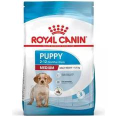 Cane - Cibo Secco - Cibo per cani Animali domestici Royal Canin Medium Junior 15kg