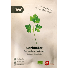 Bland Selv Frø Coriandrum Sativum Koriander Krydderurtefrø