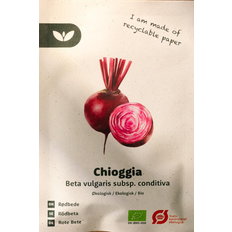 Rødbede frø Bland Selv Frø Chioggia Rødbede Grøntsagsfrø