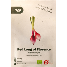 Løg. Grøntsagsfrø Bland Selv Frø Red Long of Florence Rødløg