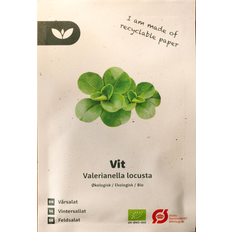 Bland Selv Frø Vit Vårsalat Grøntsagsfrø