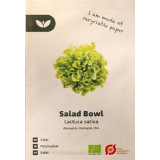 Bland Selv Frø Salad Bowl Salat Grøntsagsfrø